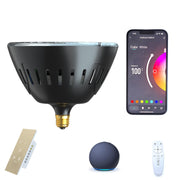 Smart Pool Lights  Bulb & Control Kit for In-ground Pool Lights Fixture, 12VAC